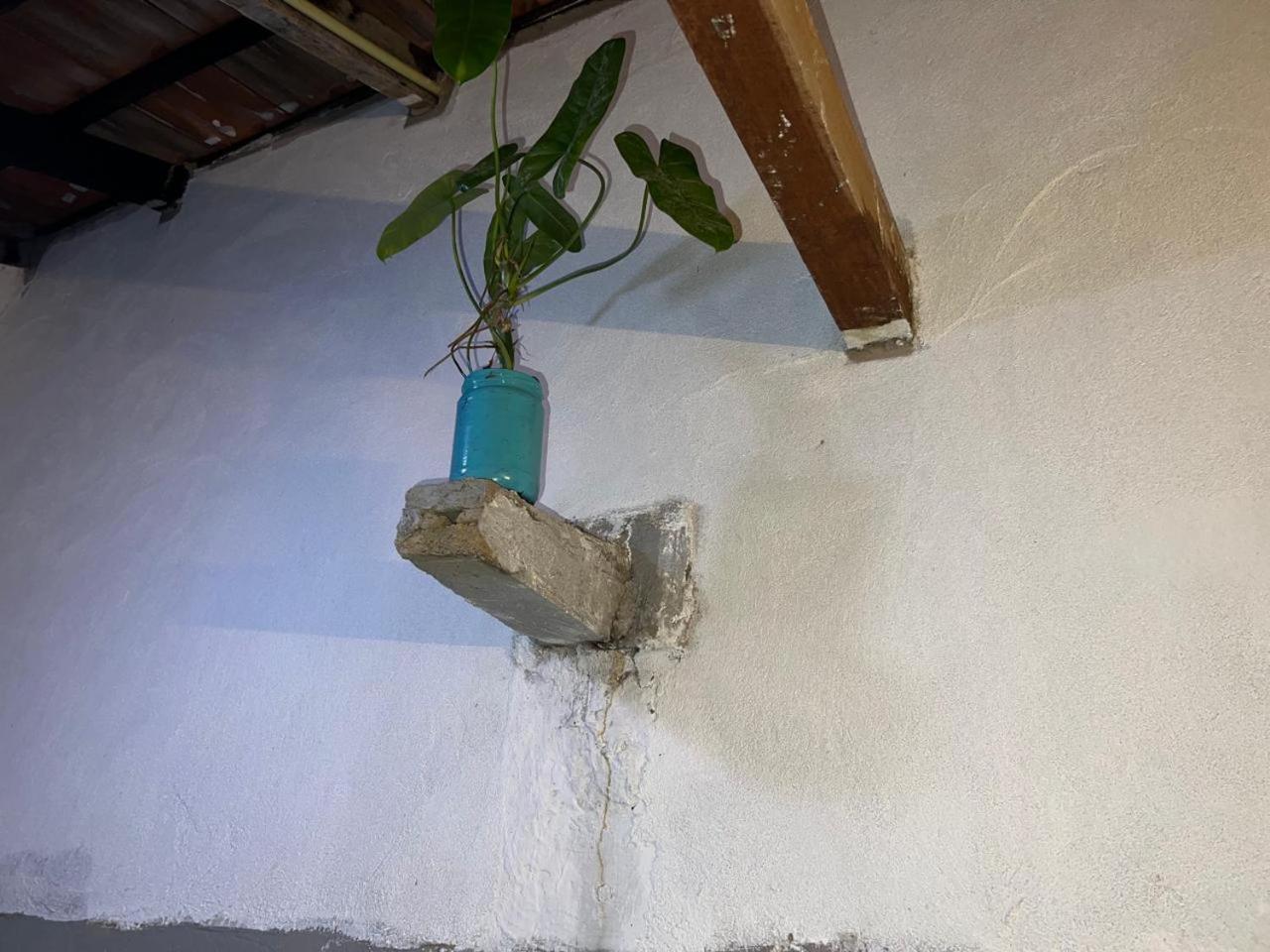 Cactus Arugambay Hostel Arugam Bay Bagian luar foto