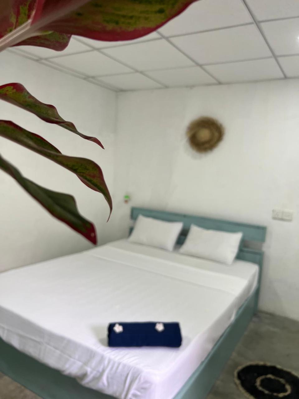 Cactus Arugambay Hostel Arugam Bay Bagian luar foto