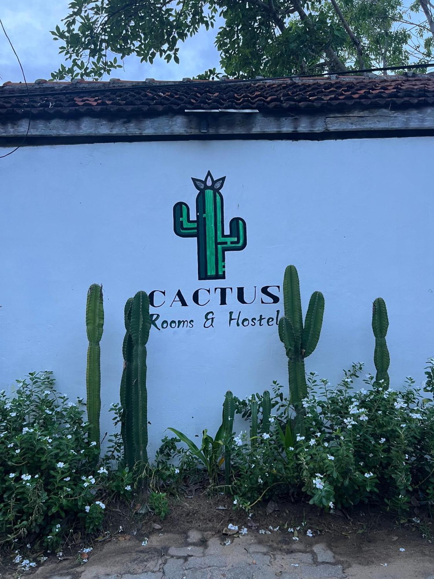 Cactus Arugambay Hostel Arugam Bay Bagian luar foto