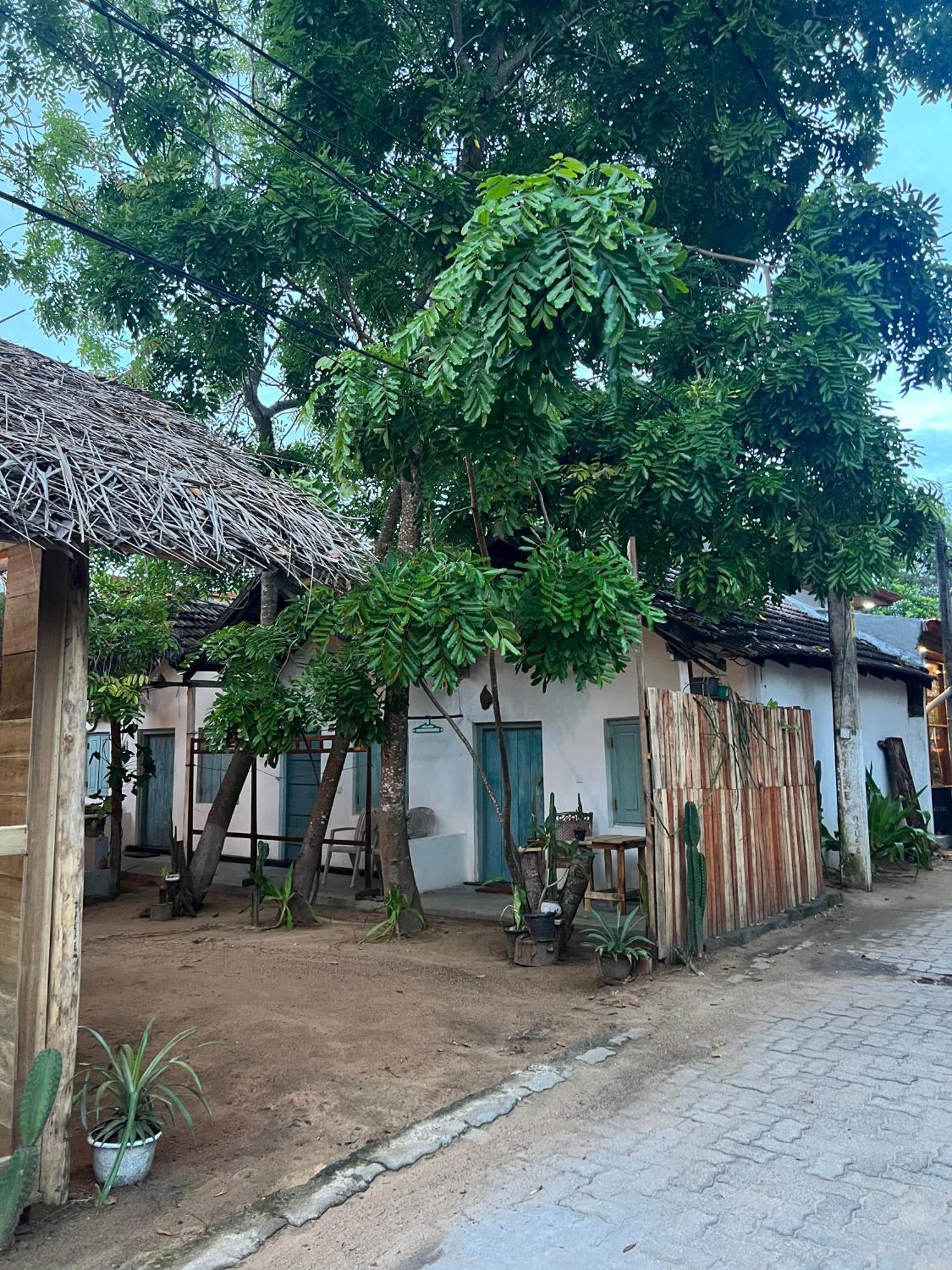 Cactus Arugambay Hostel Arugam Bay Bagian luar foto